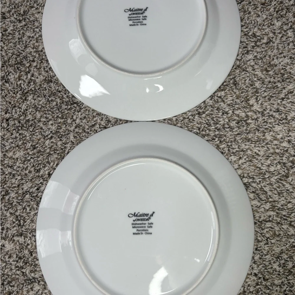 Maître d’ by Oneida dinner plates-2 plates
